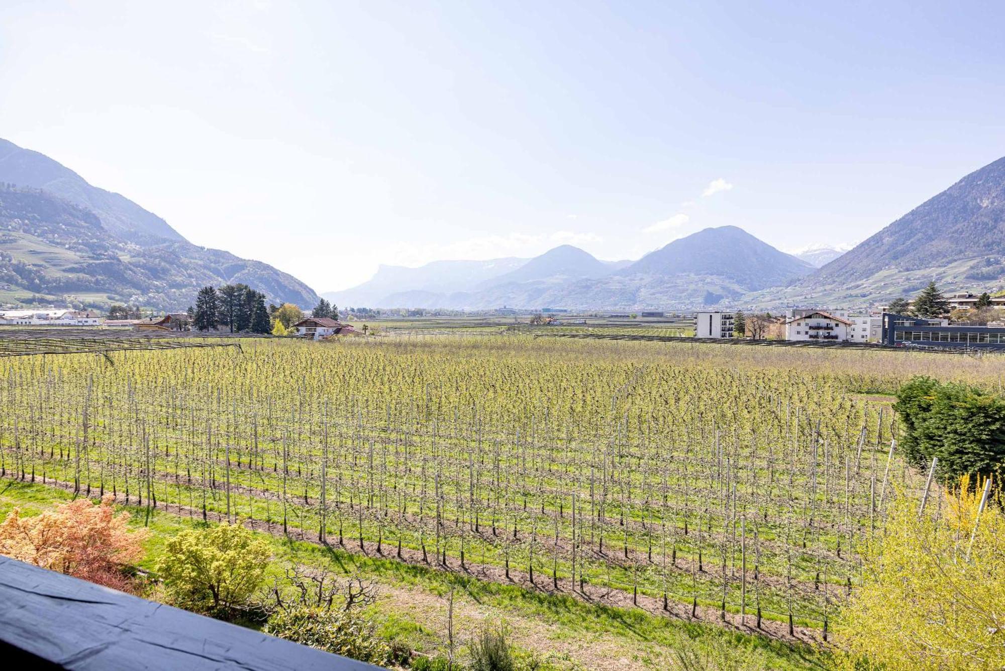 Residence Pollingerhof Merano Exterior photo
